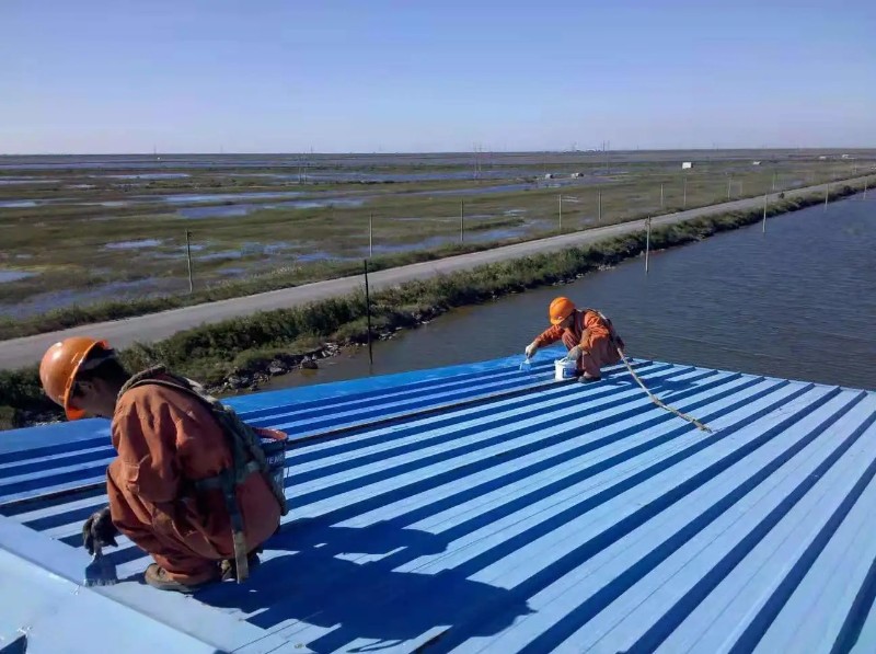 胡市镇彩钢瓦屋面防腐翻新